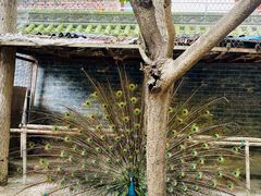 -罔极寺