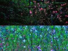 -桃花涧