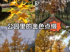 -森林公园(尖草坪区)