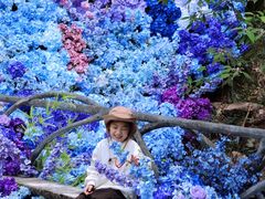 -龙湾潭国家森林公园