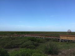 -北海金海湾红树林生态旅游区