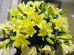 -农汤老店(顺联公园里店)