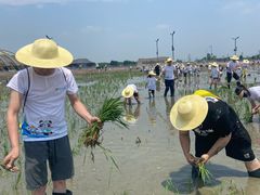 -中国天府农业博览园