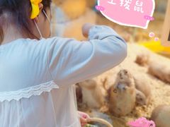 -Mr·Kuma酷么先生雪之乐园