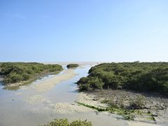 -北海金海湾红树林生态旅游区