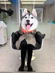 -PE SALON