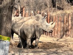 -北京野生动物园