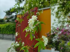 -龙华寺