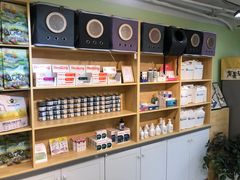 -猫十亿·布偶金渐层·曼基康矮脚猫舍(青年路店)