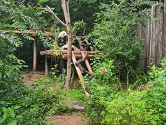 -深圳野生动物园