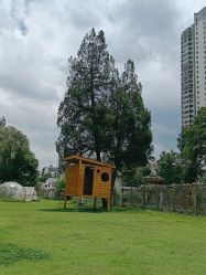 -糖果baby儿童摄影定制馆(外景店)