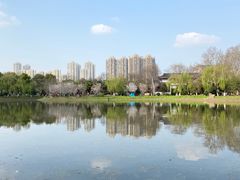 -堤角公园