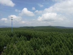 -塞罕坝国家级自然保护区