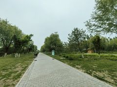 -瀛海足球主题公园