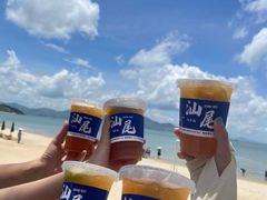 -汕尾风车岛