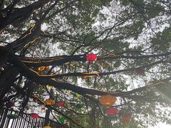-长鹿旅游休博园