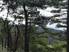 -罗田薄刀峰风景区