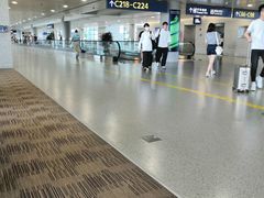 -上海浦东国际机场-T2航站楼