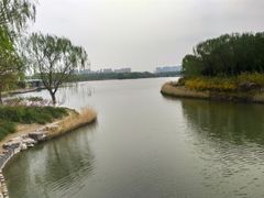 -大兴滨河森林公园