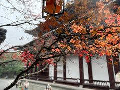 -香积寺