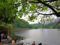 -重庆彩云湖湿地公园