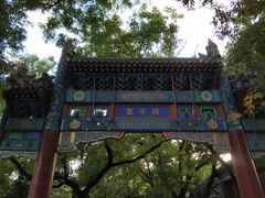 -北京国子监胡同