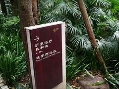 -青城道汤池