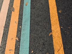 -牛背梁国家森林公园