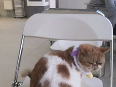 -怪兽屋·羊驼·猫咖·狗咖(俊华广场店)