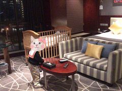 -常州环球恐龙城维景国际大酒店