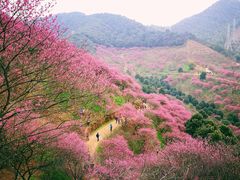 -蒋氏故居