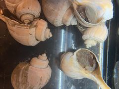 -璞御·海鲜·雪花牛肉局(宾水西道店)