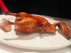 首创昆明BB乳鸭-东富酒家(龙湖西溪天街店)