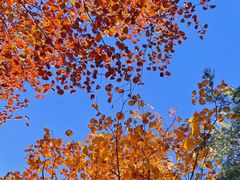 -周口店北京人遗址公园