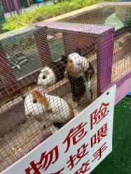 -萌宠亲子动物乐园(槐房万达店)