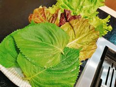 -臻牛烤肉
