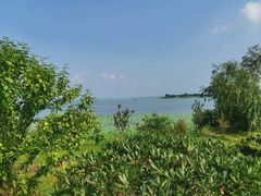 -梁子湖东篱老屋生态庄园