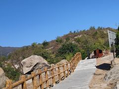 -白水寺森林公园