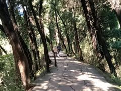-金堂县云顶石城风景区