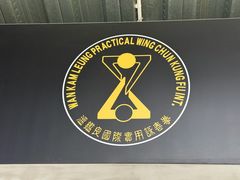 -温鉴良实用咏春拳