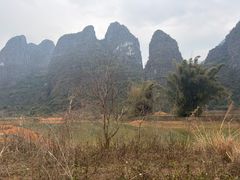 -钟山水墨田园
