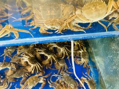 -阳澄湖大闸蟹·琼灵阁牌品牌连锁(吴中总店)