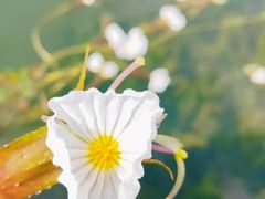 -丽江泸沽湖景区
