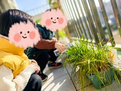 -小风车金桥丽都幼儿园(金桥店)
