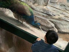 -福州罗源湾海洋世界旅游区