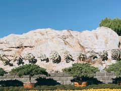 -北京西山国家森林公园