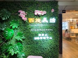 点击看大图 门面-西施无菌半永久纹绣眉眼影唇轻增发纹发际线