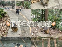 -黔灵山公园