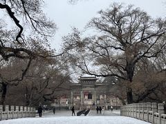 -北陵公园