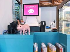-WHEN PIGS FLY当猪飞